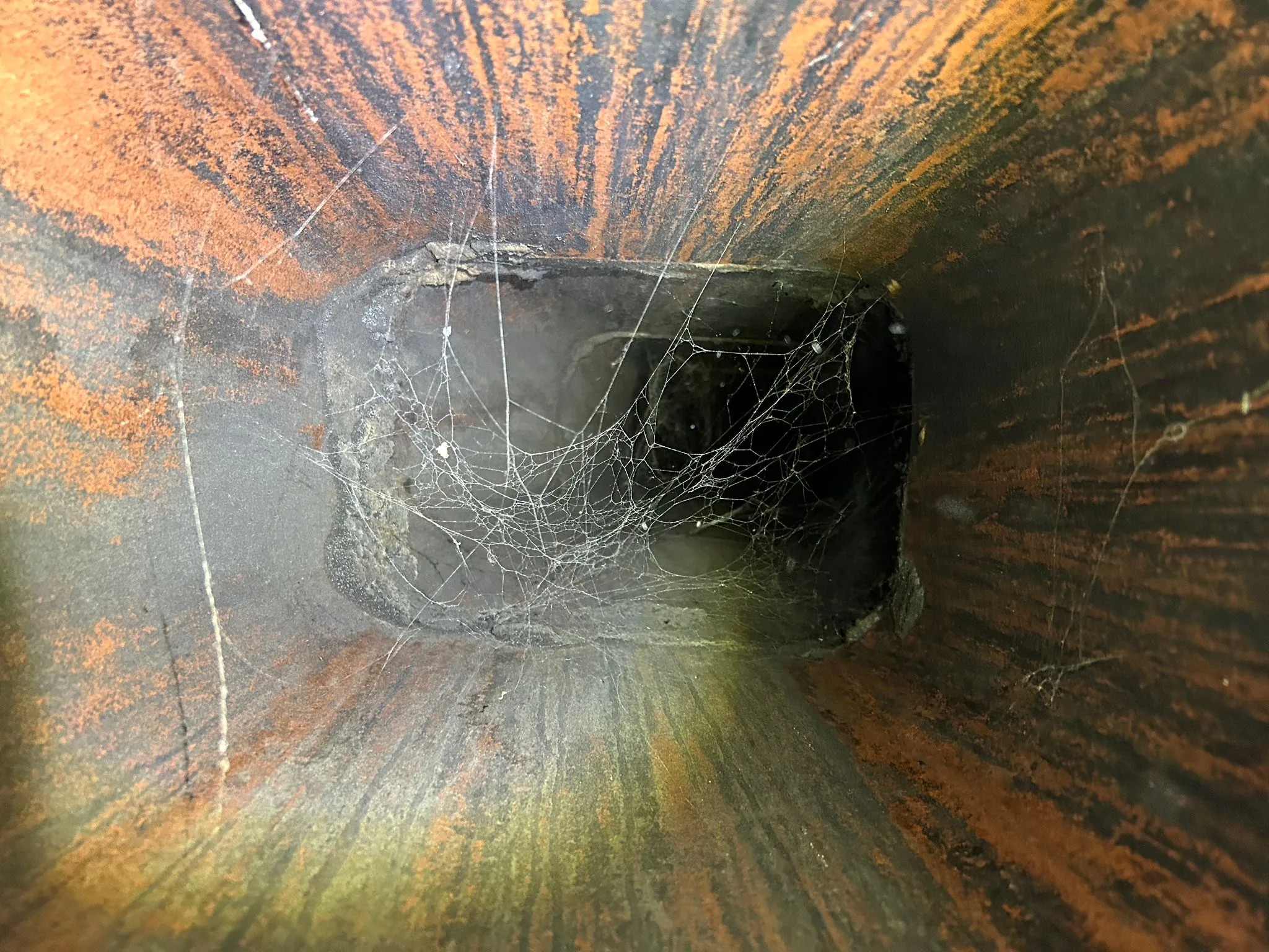 Level 2 Chimney Inspection